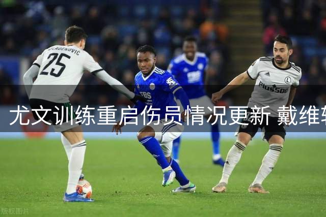 尤文训练重启伤员情况更新 戴维转会现关键前提
